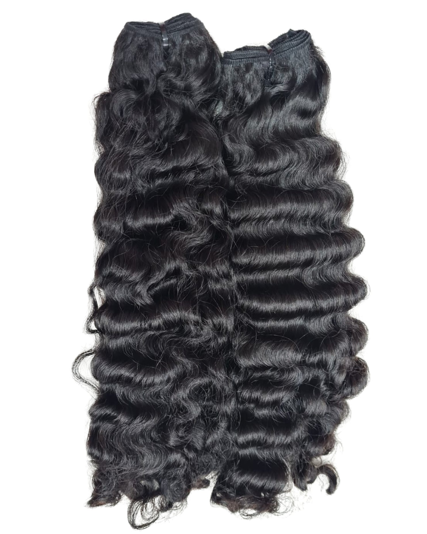 Burmese Curly - IN STOCK