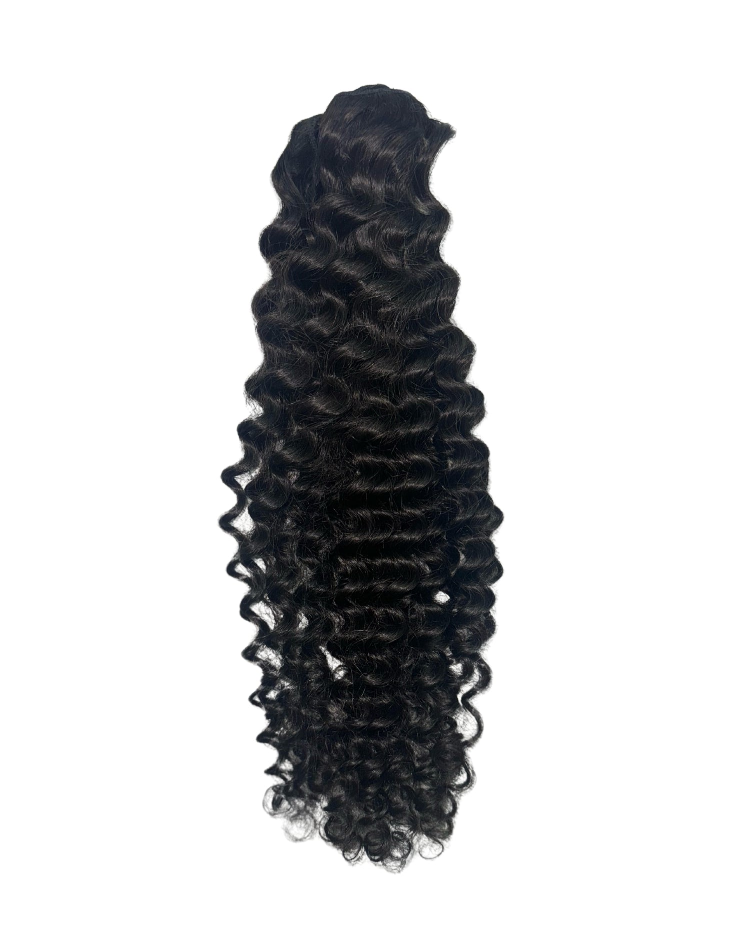 Eurasian Curly - DEPOSIT